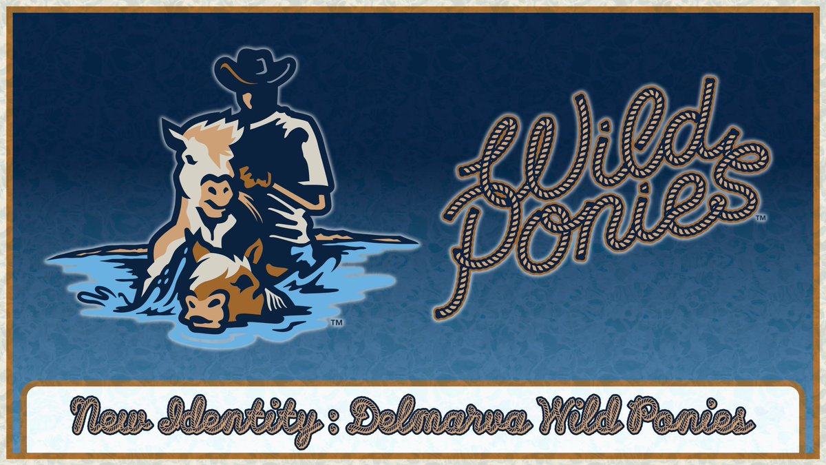 shorebirds's tweet image. On Sat. May 17, the Shorebirds will take the field as the Delmarva Wild Ponies for the first-time ever as a tribute to the Wild Horses that reside on Delmarva! Learn more about tickets, merch, &amp;amp; more👇

Read 👉 bit.ly/4h2Bp8a

#FlyTogether | #CommUNITY | #DELWildPonies