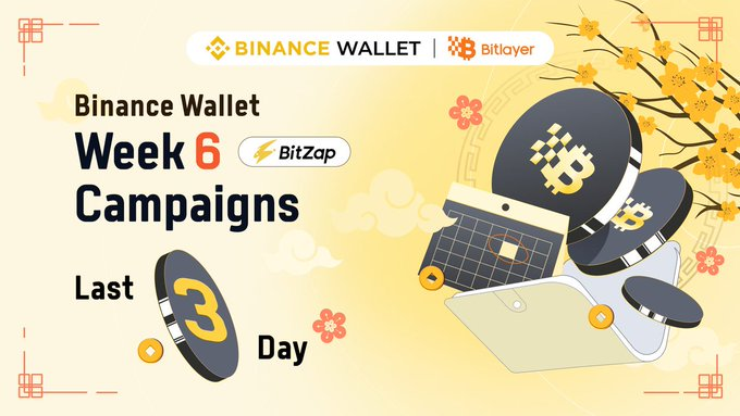BitlayerTurkiye tweet picture