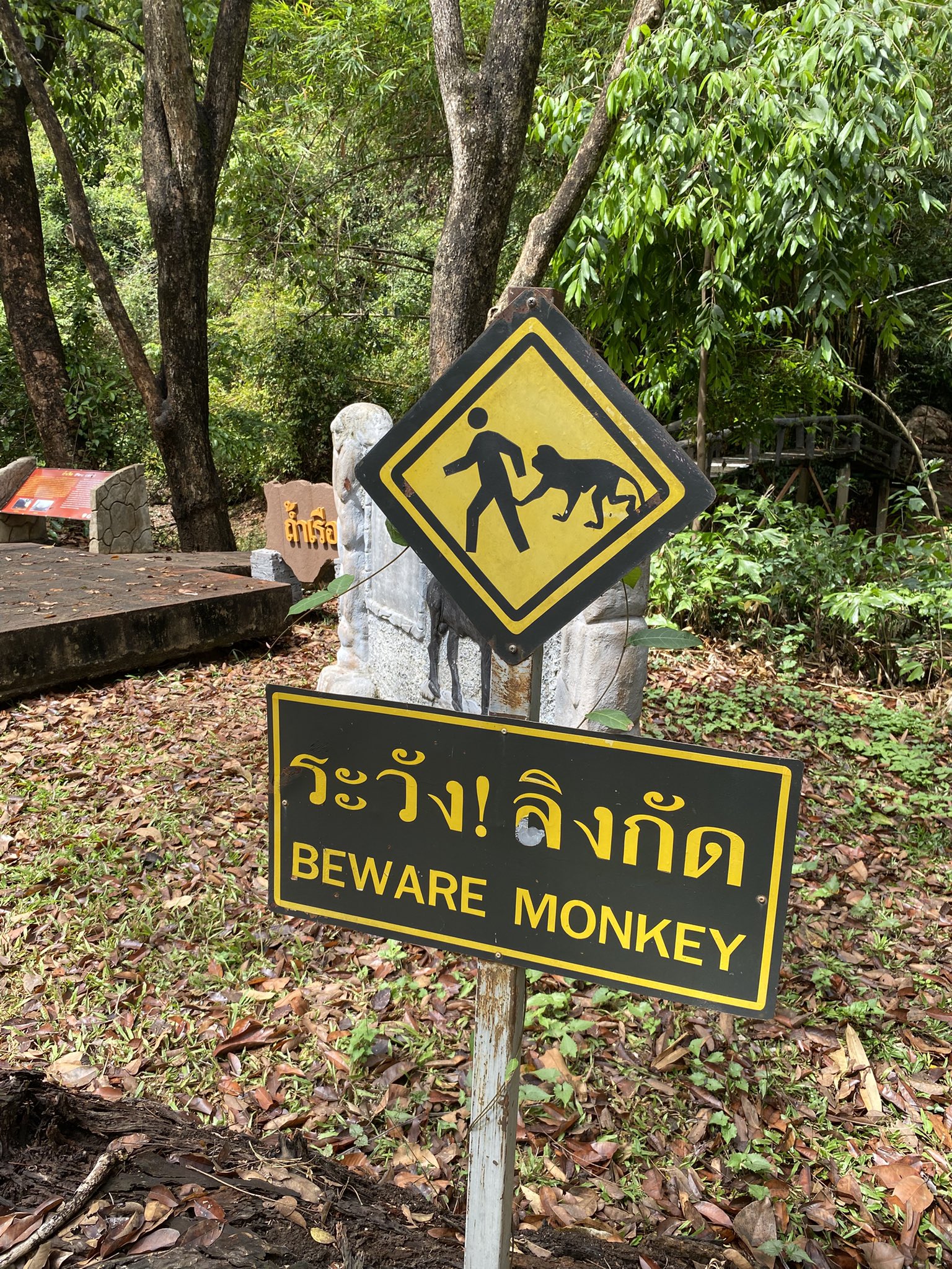 Aru Toyoda｜Stump-tailed macaque research@🇹🇭 (@arutoyoda) / X