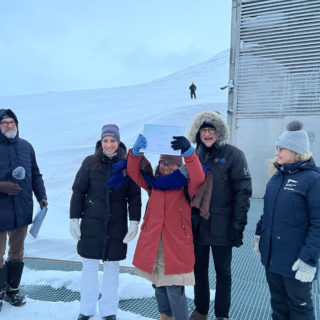 The Svalbard <a href="/GlobalSeedVault/">Svalbard Seed Vault</a> welcomed over 14,000 new seed samples yesterday! 

Since 2008, 123 genebanks from 85 countries have deposited in Svalbard—a global insurance policy for food security managed by <a href="/Regjeringen/">Regjeringen</a>, <a href="/NordGen/">NordGen</a> and the Crop Trust.

By conserving crop diversity,