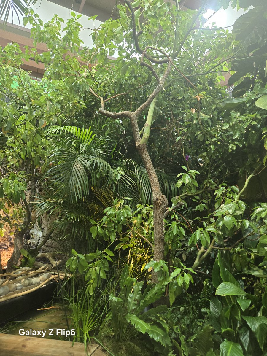 Kadia SYLLA MOISSON tweet media