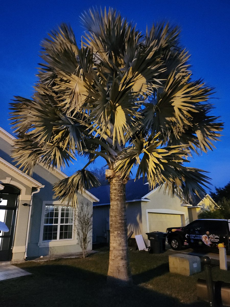 scottwherring's tweet photo. Davenport Florida was great.  I really enjoyed  our  family  vacation.  The house felt like home. https://t.co/OHHHZN0pFV