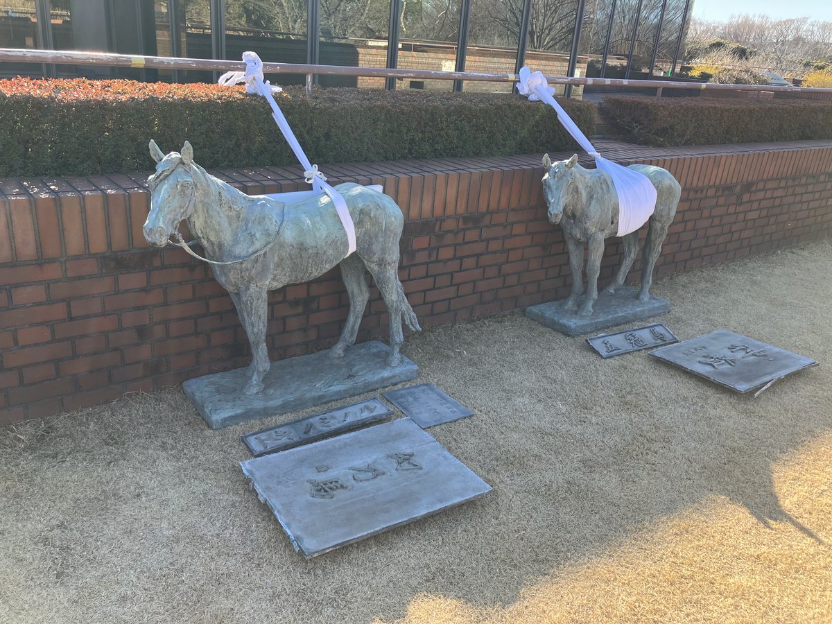 馬のある静物 318c-319c-320c-Excavator-