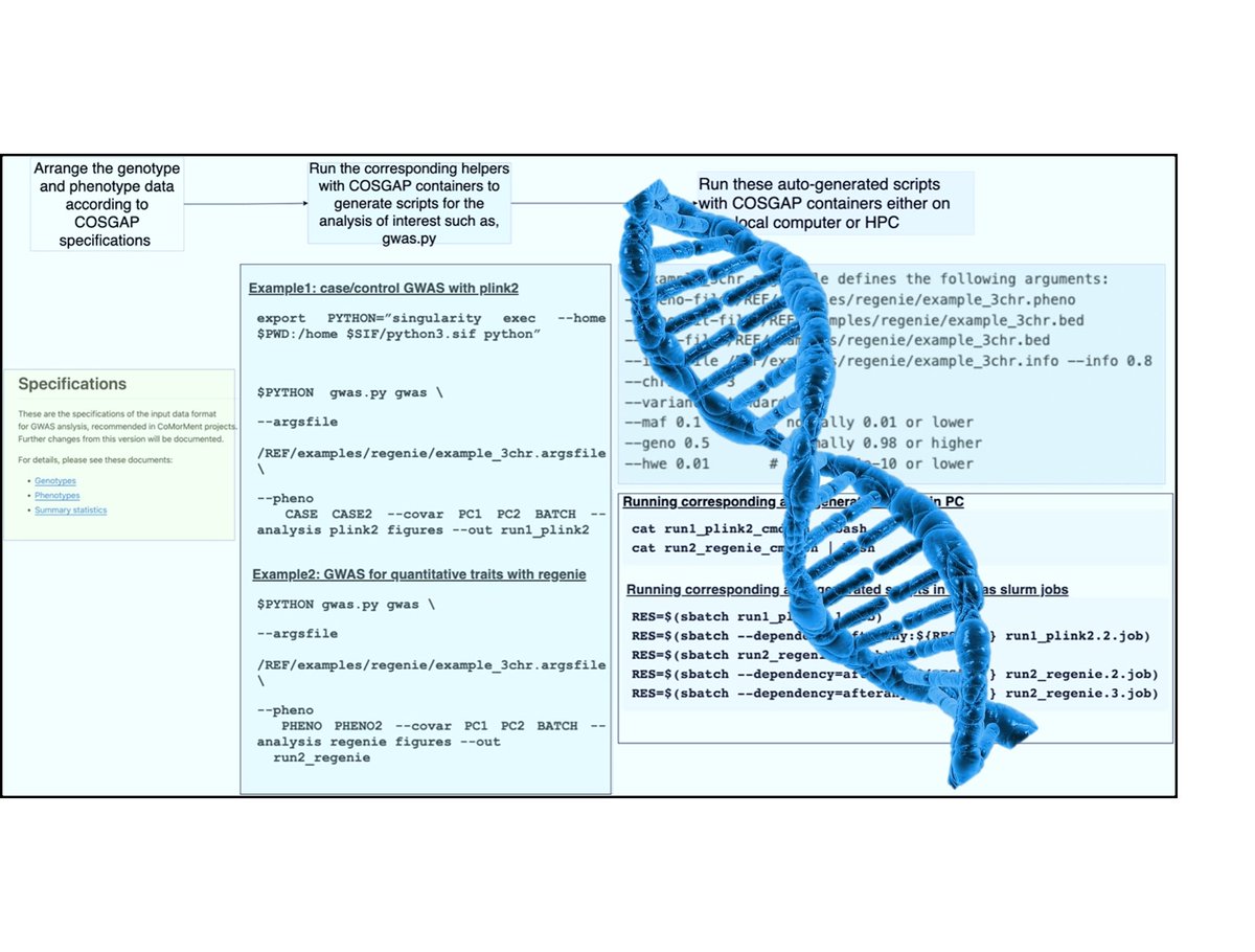 CoMorMent's tweet image. Analysing genetic data just got easier! Introducing COSGAP: a containerized toolkit for statistical genetics, simplifying software setup & analysis on HPC or personal computers. Free & open-source
🔗cosgap.readthedocs.io/en/latest/INTR…
🔗github.com/comorment/cont…
#Bioinformatics #OpenScience