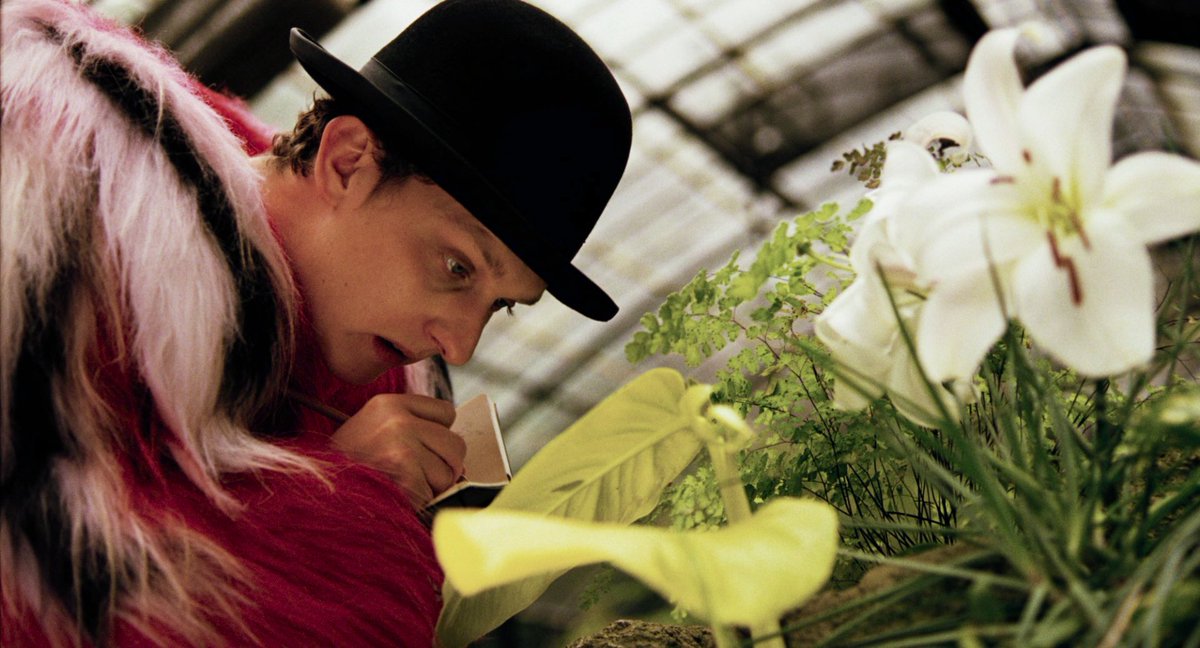 𝓓𝓪𝓻𝔀𝓲𝓷 𝓪𝓷𝓭 𝓦𝓪𝓵𝓵𝓪𝓬𝓮