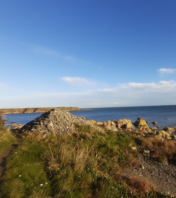 Balbriggan Hist Soc tweet media