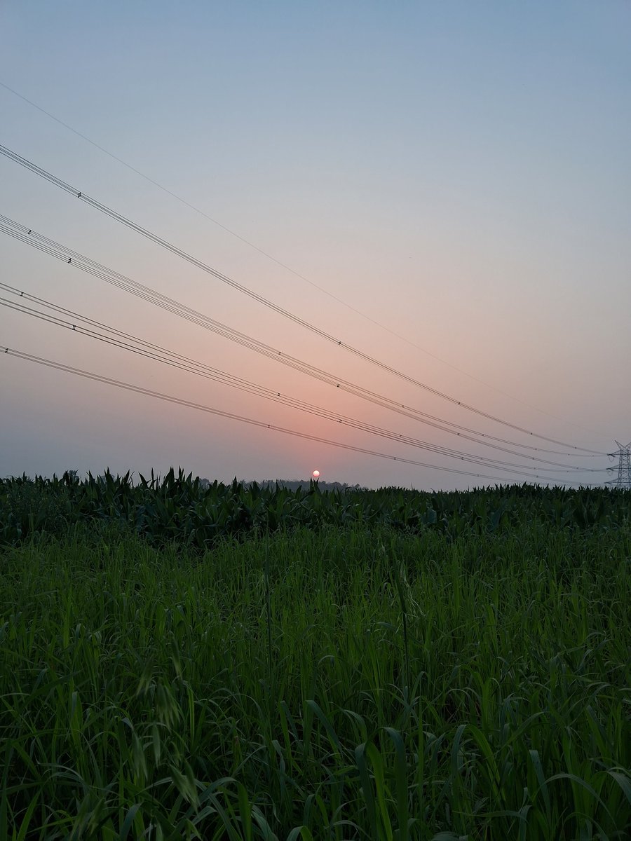 Good evening dear friend 🧡