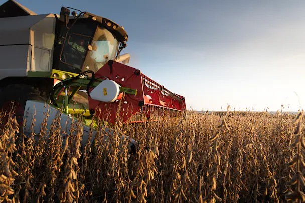 Anticiparon con la inteligencia artificial cuánto va a rendir la soja lanacion.com.ar/economia/campo…