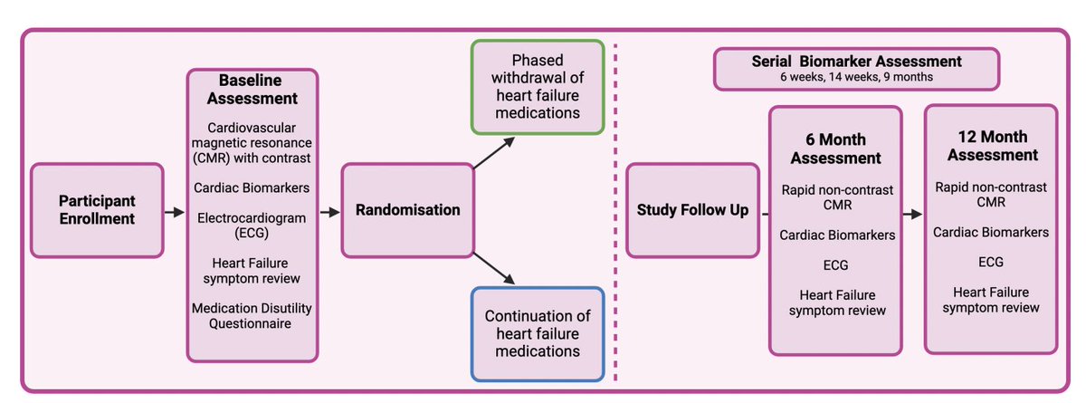 Maria Sol Andres 🇦🇷🇬🇧 (@mariasolandres1) on Twitter photo 🚨Publication alert🚨
Can HF drugs be stopped after #cancer treatment and cardiac recovery? This RCT will provide some answers!
👏Congratulations to <a href="/bmdwsg/">Ben Dowsing</a> & <a href="/dr_manisty/">Charlotte Manisty</a> for leading this work!
🙏Grateful to be part of the team.
📖full study protocol : doi.org/10.1136/bmjope… 🚨Publication alert🚨
Can HF drugs be stopped after #cancer treatment and cardiac recovery? This RCT will provide some answers!
👏Congratulations to <a href="/bmdwsg/">Ben Dowsing</a> & <a href="/dr_manisty/">Charlotte Manisty</a> for leading this work!
🙏Grateful to be part of the team.
📖full study protocol : doi.org/10.1136/bmjope…