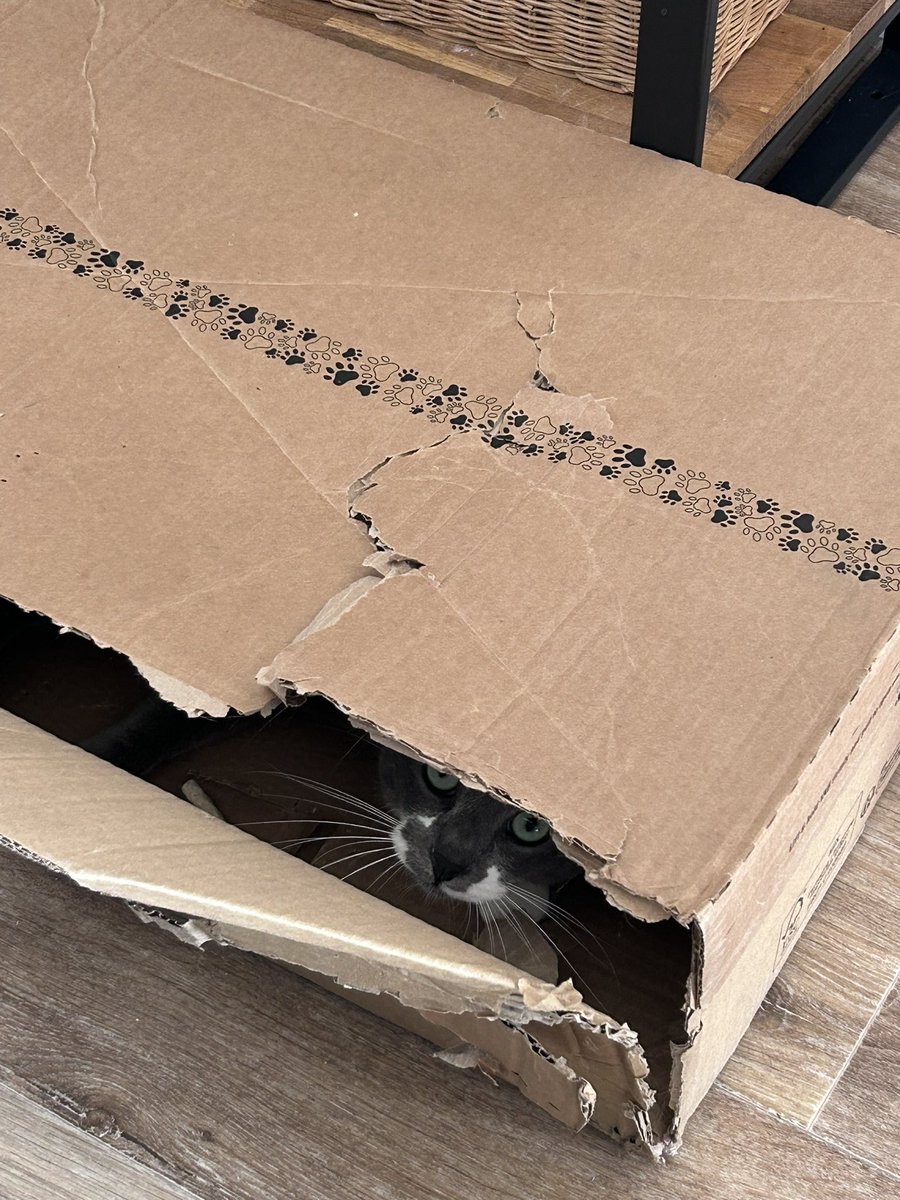 Fleur 🌸🌺 tweet media