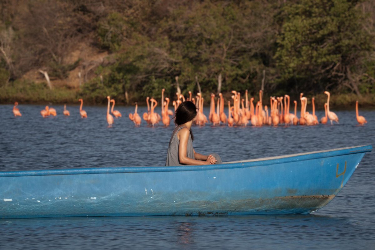 rcnradio's tweet photo. #LaGuajira | 🌵 El departamento de La Guajira estará en Anato 2025 con el objetivo de posicionarlo como destino turístico. El lanzamiento incluirá un video que resaltará sus maravillas naturales y culturales, desde las imponentes Dunas de Taroa y Punta Gallinas hasta la riqueza del pueblo Wayúu.
