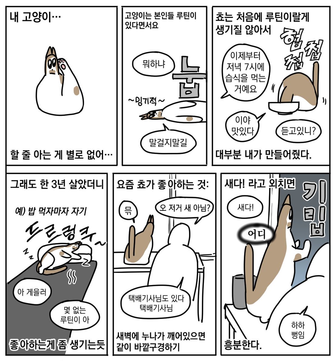 피스타치호 (@pistachih0) on Twitter photo 