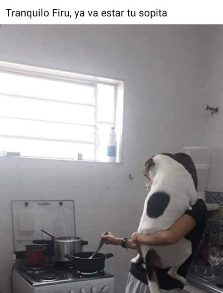 TlacatecolotlMX's tweet image. #Gurmornin mi querido #Compi 
@WitoWitowito71 ...! 

#AbrazosDeLuz 
🐽🙏🏾🦉💚😎🫂♾️