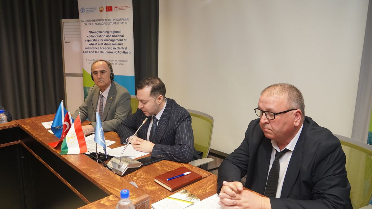 FAOinTajikistan's tweet photo. FAO held a 3-day workshop in 🇹🇯 on combatting wheat rust within a project funded by the FAO-Türkiye partnership programme.🌱Experts focused on developing strategies for prevention, &amp; management of the disease, &amp; breeding rust-resistant wheat. #WheatRust #SustainableFarming 🌍👩‍🌾 https://t.co/PyzQbIJDy8