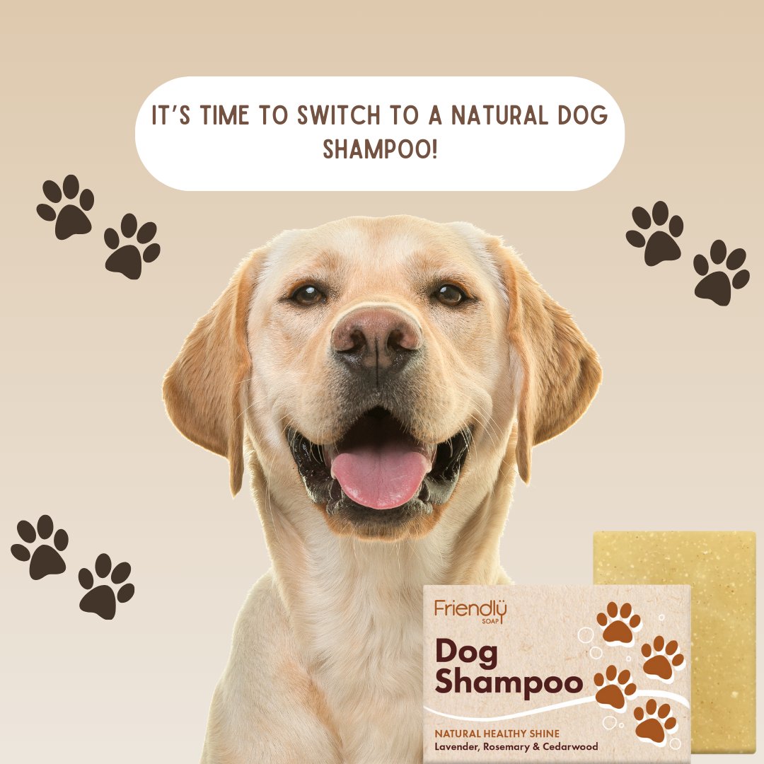 Is your pup constantly itching, scratching, or dealing with dull fur? It might be time to switch to a natural dog shampoo! 🌿🛁

Check out our latest blog,  for more info 🐶🐾

friendlysoap.co.uk/blogs/news

#doggrooming #naturaldogshampoo #dogs