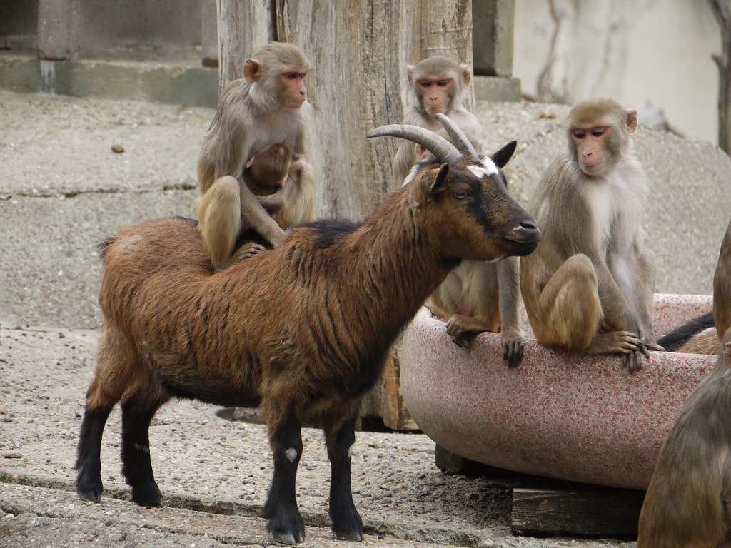 Samuel Hawksby-Robinson tweet media