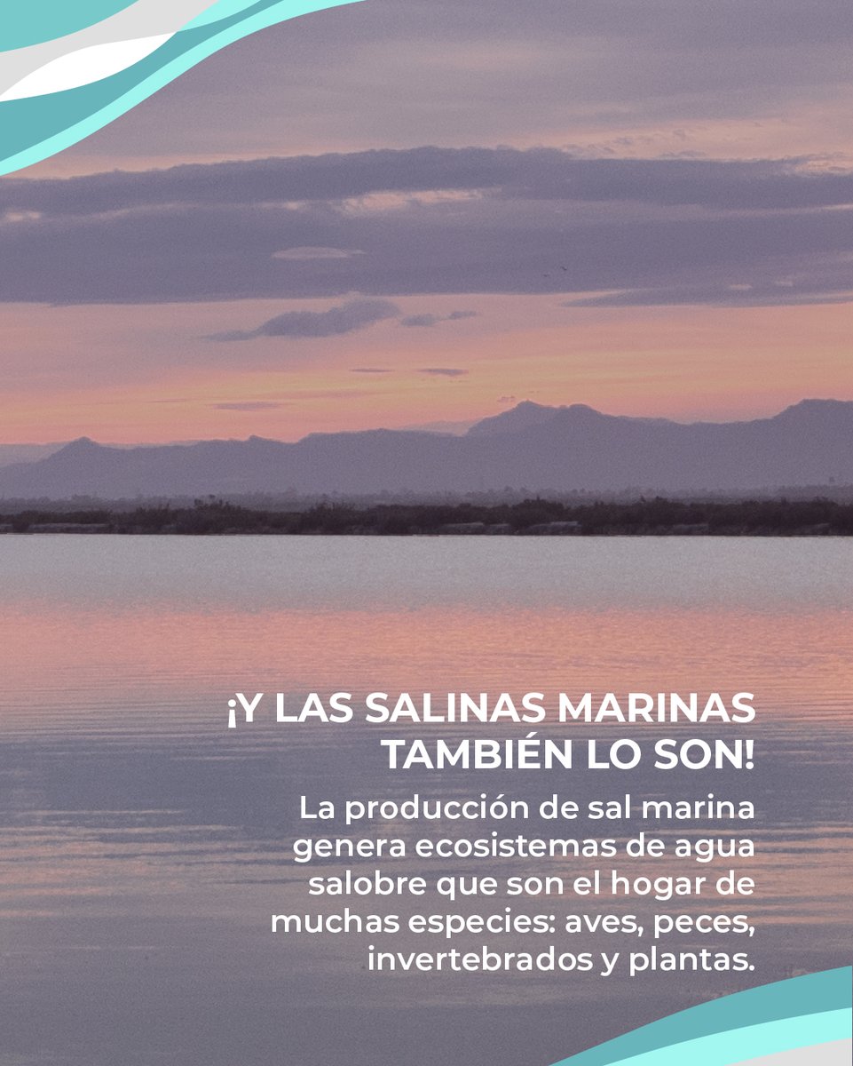 Asociación SALIMAR tweet media