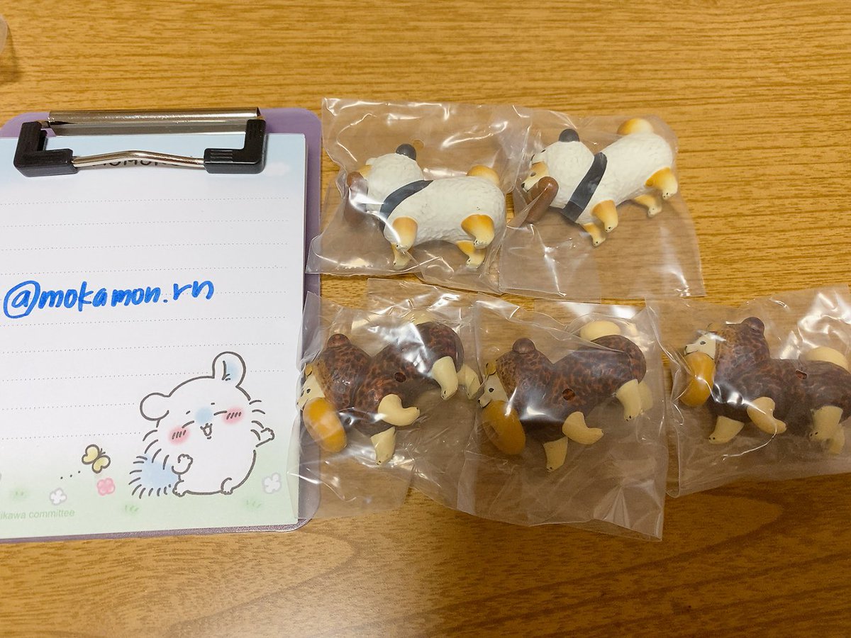 ❥❥❥･•ちょんちゃん🐻‍❄️🐶 tweet media