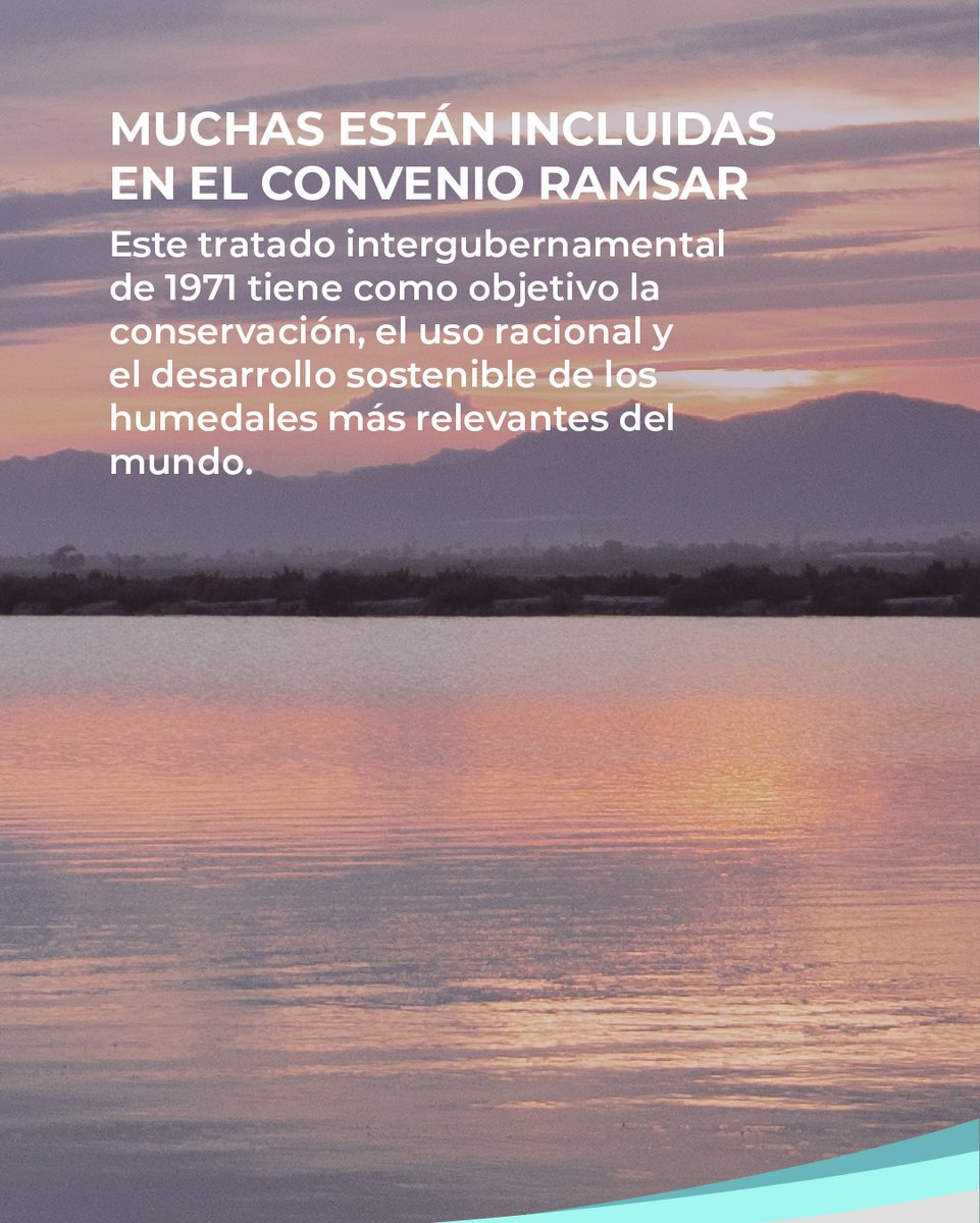 Asociación SALIMAR tweet media