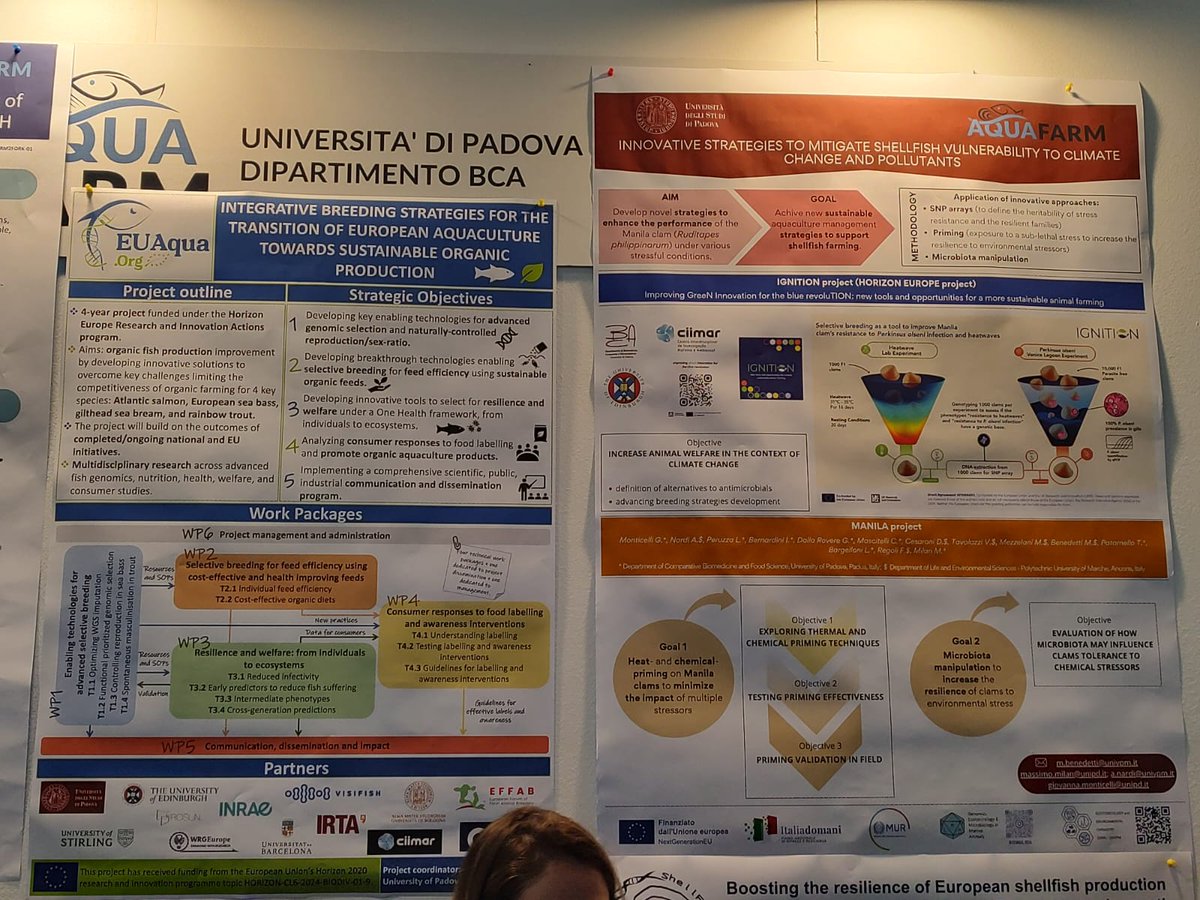 IGNITION (@ignition__eu) on Twitter photo 🐚 Our team from <a href="/UniPadova/">Università di Padova</a> had an amazing  time at <a href="/AquaFarmExpo/">Aquafarm</a> presenting our latest work on mollusks & sustainable aquaculture
🦪 Our Clam Game was once again a fan favorite!
👏 Thanks to all who engaged!  
🎲 Read more & Download the game: ignition-project.eu/news/ignition-… 🐚 Our team from <a href="/UniPadova/">Università di Padova</a> had an amazing  time at <a href="/AquaFarmExpo/">Aquafarm</a> presenting our latest work on mollusks & sustainable aquaculture
🦪 Our Clam Game was once again a fan favorite!
👏 Thanks to all who engaged!  
🎲 Read more & Download the game: ignition-project.eu/news/ignition-…