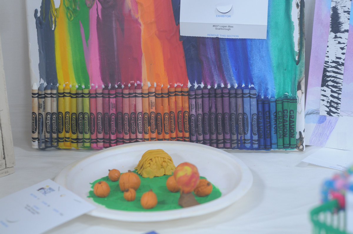 markhamfair's tweet photo. Young imaginations at work! 🎨✨ From plasticine ponds to recycled robots, LEGO builds to painted rocks - our youth Homecraft displays show incredible creativity! Check out these amazing entries from our young artists. Got a creative kid? Stay tuned for 2025 entry details! 🖌️ https://t.co/AIqdloT3xG