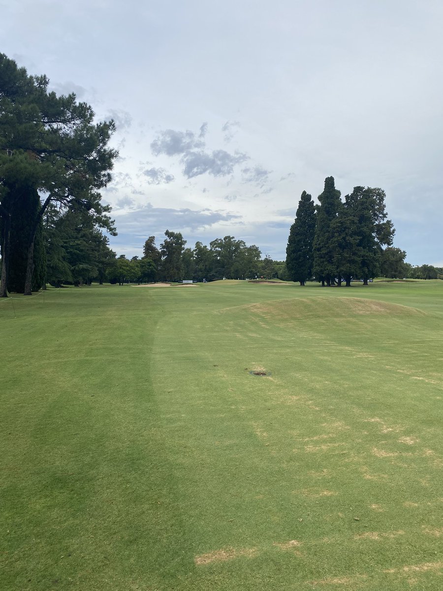 Zack Fischer (@zackfisch3) on Twitter photo It’s crazy to see how many similarities The Jockey Club and <a href="/TexarkanaCC/">Texarkana Country Cl</a> have to each other. Random hills in the fairway, greens right next to each other and fall offs everywhere around the greens. What a great course. Can’t wait for this week! It’s crazy to see how many similarities The Jockey Club and <a href="/TexarkanaCC/">Texarkana Country Cl</a> have to each other. Random hills in the fairway, greens right next to each other and fall offs everywhere around the greens. What a great course. Can’t wait for this week!