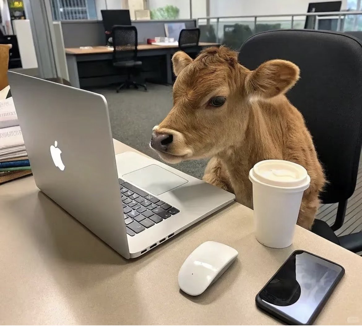 walteryu7777's tweet photo. https://t.co/2nVpOoOi2E