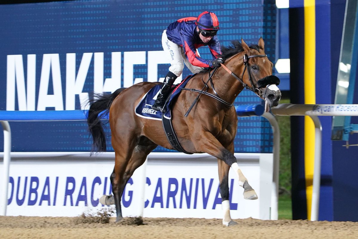 Exciting news! 𝑰𝒎𝒑𝒆𝒓𝒊𝒂𝒍 𝑬𝒎𝒑𝒆𝒓𝒐𝒓 will line up in the Group 2 Al Maktoum Classic on Super Saturday, where he will be ridden by Tadhg O'Shea for Bhupat Seemar 🇦🇪

#DevaRacing