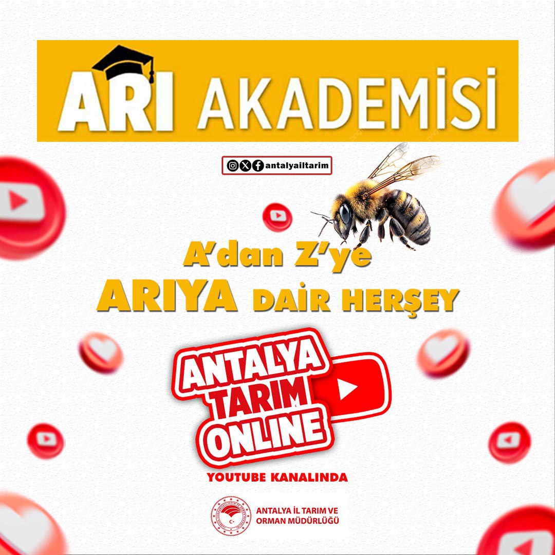 Üniversiteler ve Araştırma Enstitüleri işbirliğinde hazırladığımız #ArıAkademisi'nde Arıların gizemli dünyasına dair A'dan Z'ye her şey var  izlemek için tıklayınız 👇 
youtube.com/watch?v=V669AJ…

#TarımAntalyada

<a href="/FratErkal/">Fırat Erkal</a> <a href="/ibrahimyumakli/">İbrahim Yumaklı</a>