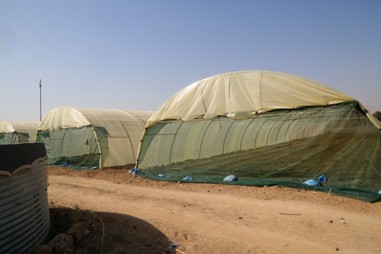 @EcoFuture.Prima tweet media