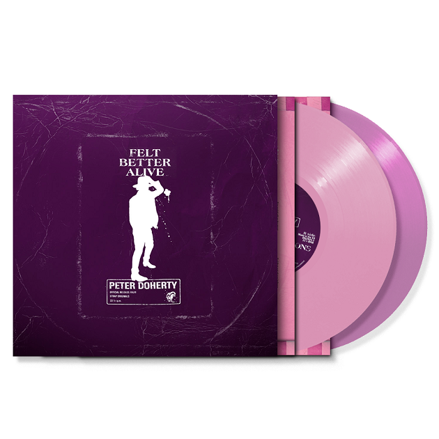 アート・デザイン・音楽 The Collected Writings of Peter Doherty