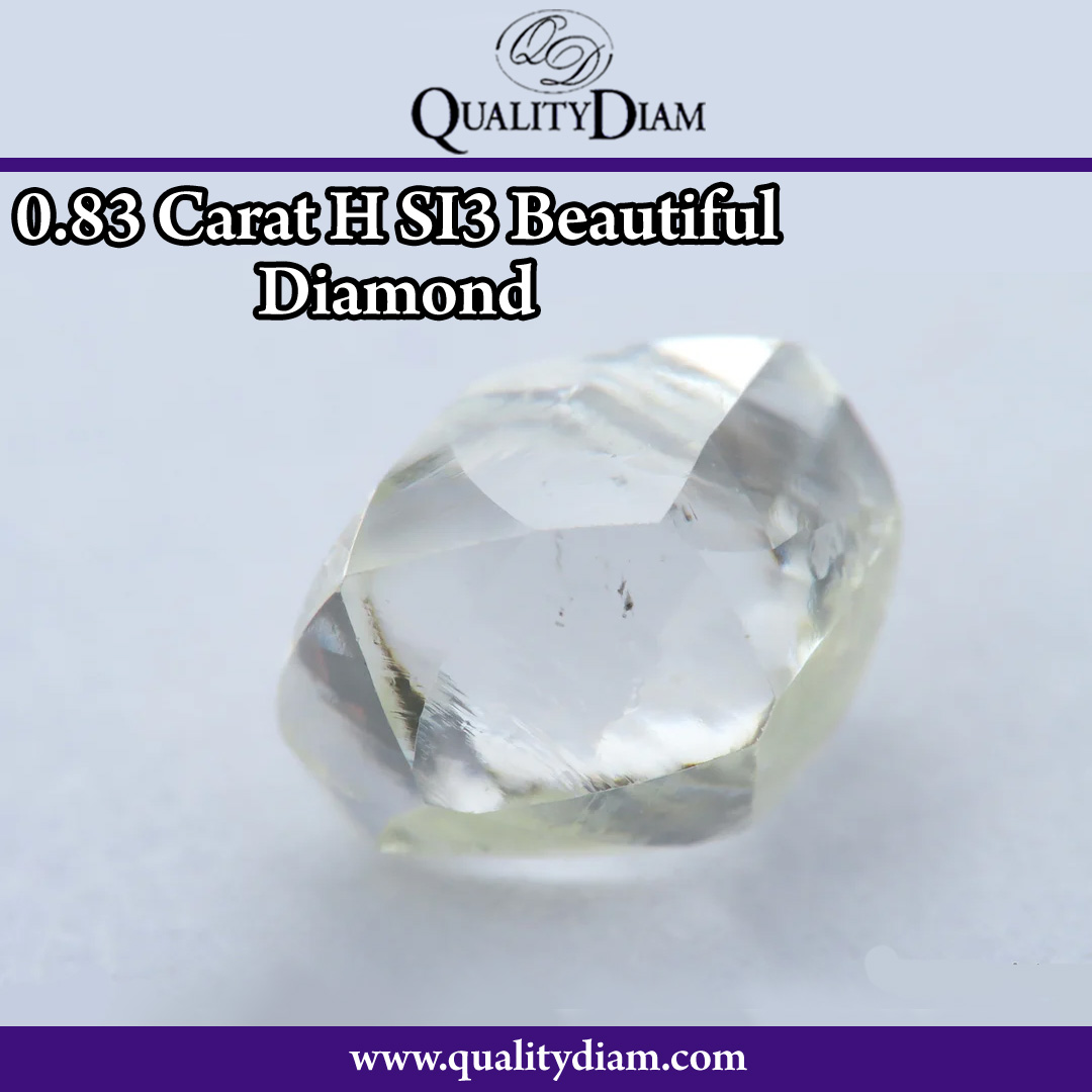 qualitydiam's tweet photo. 0.83-carat H SI3 diamond showcases a stunning brilliance with a near-colorless hue and slight inclusions visible under magnification. 
 
Shop Online: https://t.co/Yg8DqKveFa

#qualitydiam #uncutdiamond #roughdiamond #diamond #jewelry #flawless #exquisitegemstone #museum https://t.co/cfLsLrSAJq