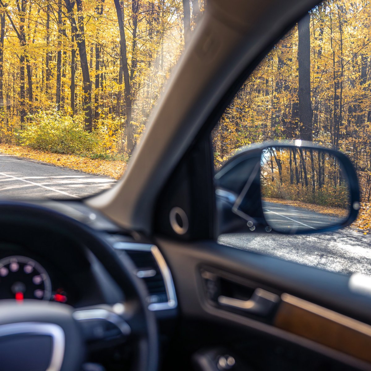 ✨ Find tons of driving inspiration on the Nationwide Hire UK blog.

From the low-down on various vehicles to little-known laws and even driving tips for happy travels, there’s lots to explore. 👀

bit.ly/3JMj1Ct

#BlogInspiration #CarNews #DrivingTips #HireCarsUK