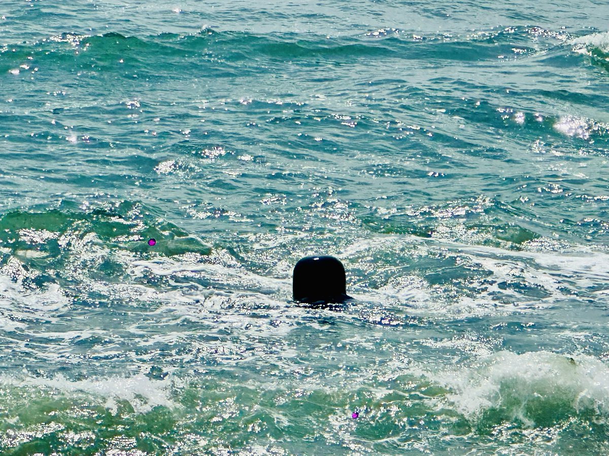 sayantani8's tweet image. हर हर महादेव 🙏🏻
মহা শিবরাত্রির অনেক শুভেচ্ছা 

#shivratri #today #throwbackpic #baanganga #somnath  #gujrat #oct24 #traveldairies #spiritualjourney #withmom