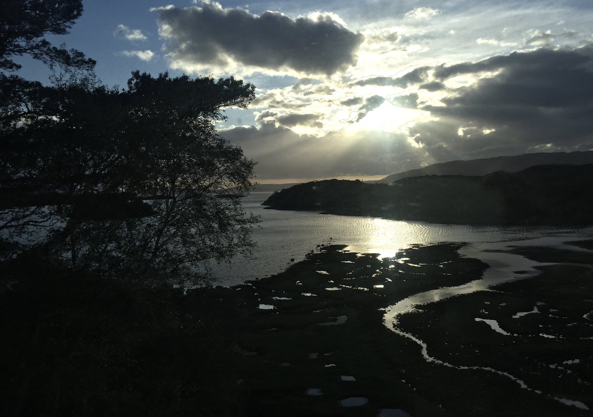 Sam Rhynas tweet media