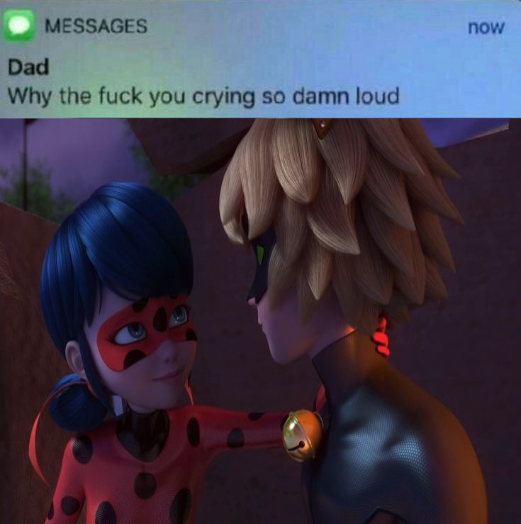 🐈‍⬛ (@chatounetss) on Twitter photo 