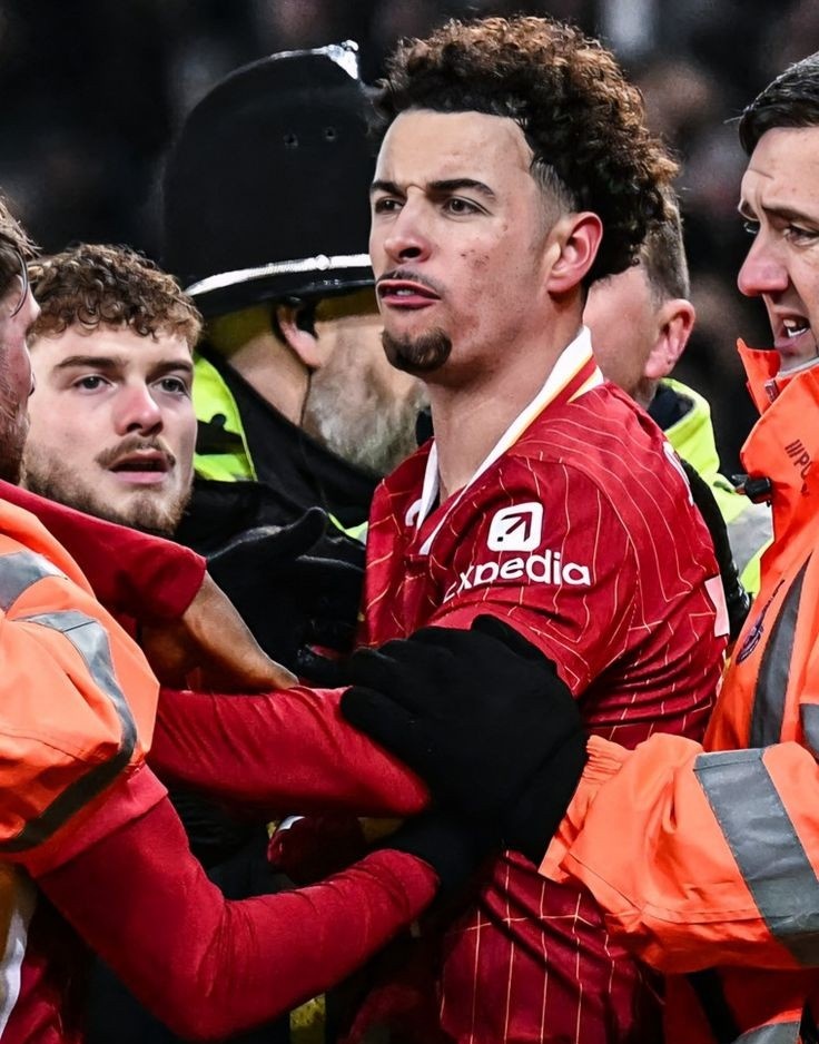 𝐅𝐀𝐓𝐀𝐋 (inactive) tweet media