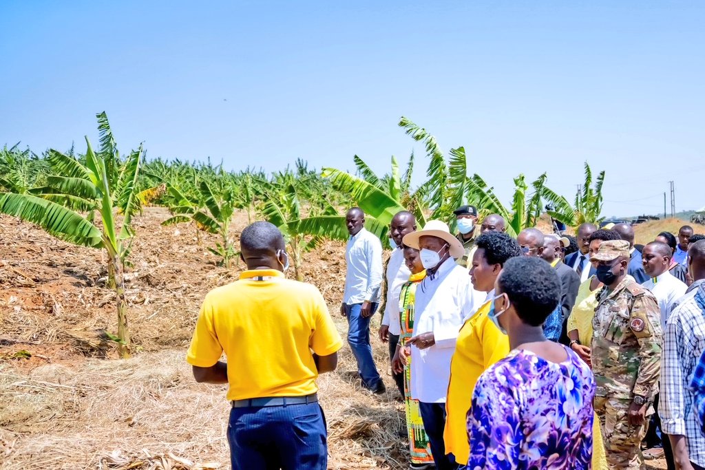 BunaBright's tweet photo. Empowering Uganda's youth! President @KagutaMuseveni launches the Presidential Industrial Skilling Hub in Kashari, Mbarara, equipping young Ugandans with vital skills for self-reliance, wealth creation &amp; a prosperous future  #YouthEmpowerment
#MusevenomicsAtWork https://t.co/TJmn4OPf6t