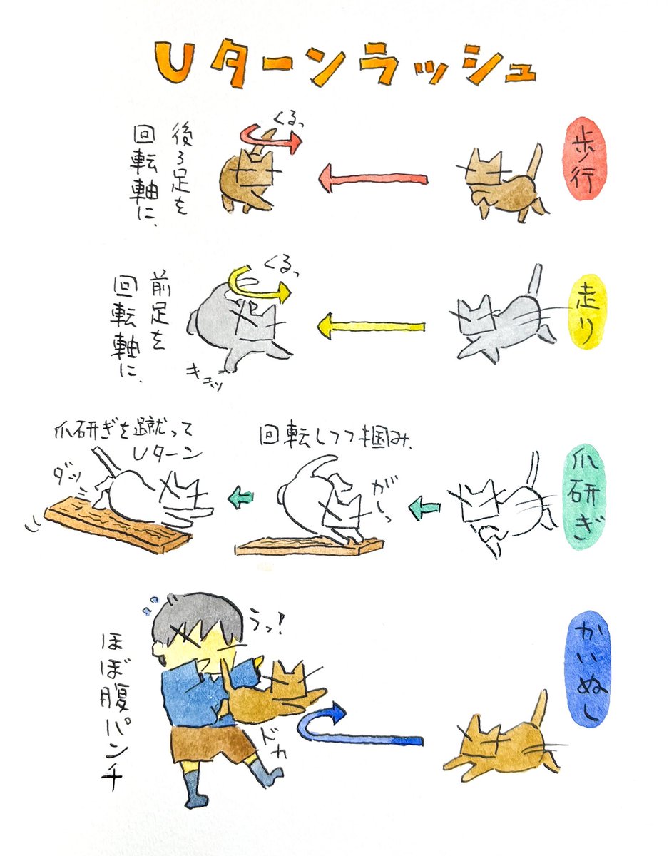 猫のUターン。歩いているときは後ろ足を回転軸に。走っているときは前足を回転軸に。複雑な四本足の使い方。私が猫だったら、ふと「次、どの足動かすんだったっけ？」となりそう。