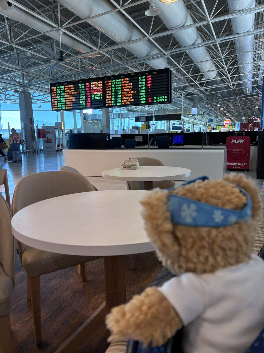At the airport and waiting for the flight home. Sad to be leaving but can’t wait to get home to my friends ✈️ 🏠 🐻