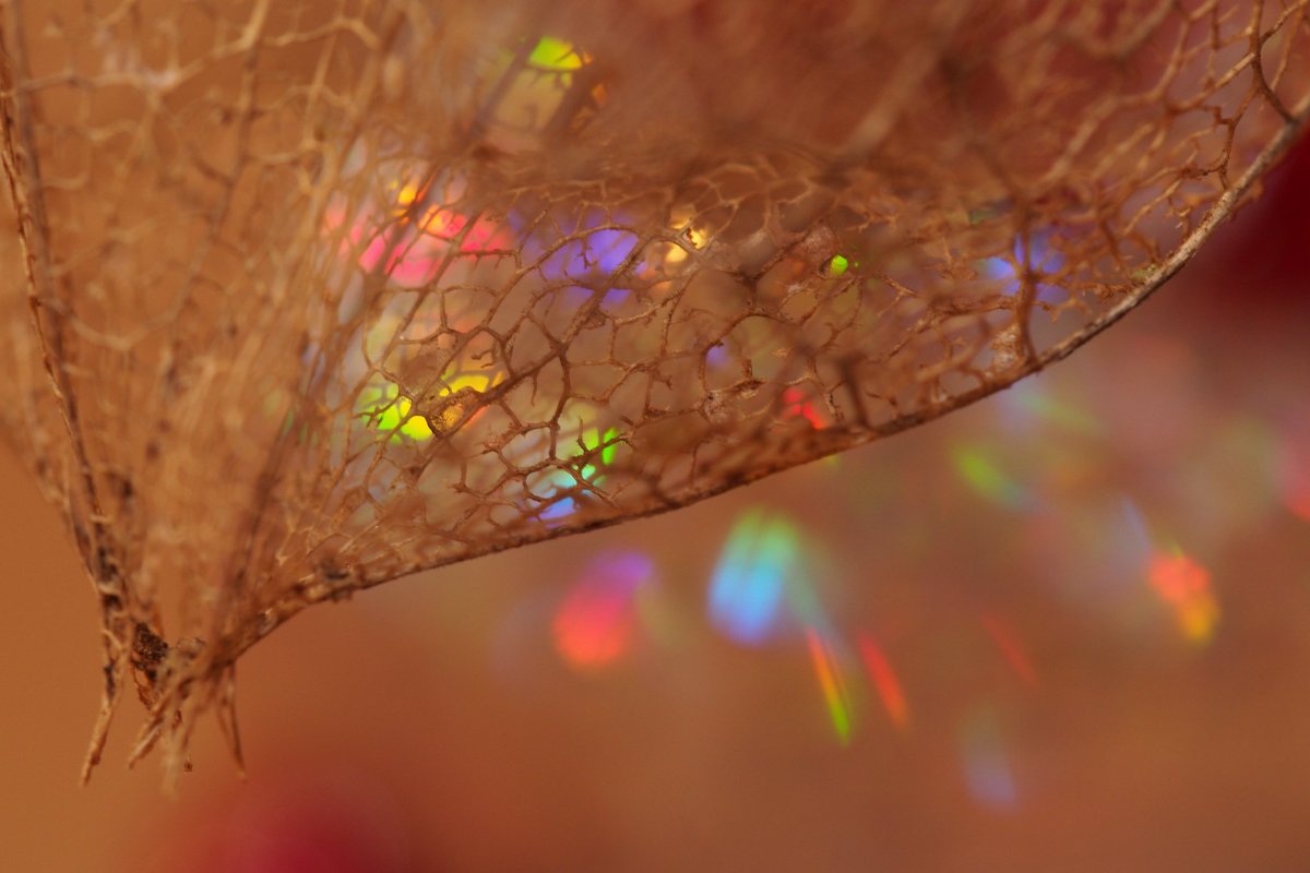 お引越しの時に買った洗濯機が壊れ、クラシアンさんに見てもらったら、洗濯機の問題と
メーカーで調べたら10年超えでOUT
新洗濯機を買いに
壊れた相棒はおはよーとかお話してくれたので、これはお話しますかといったら、いいえ
そうよね🥲︎
10年前、引越しのお知らせに今はなきG+に挙げた奴 ｻﾐｼ