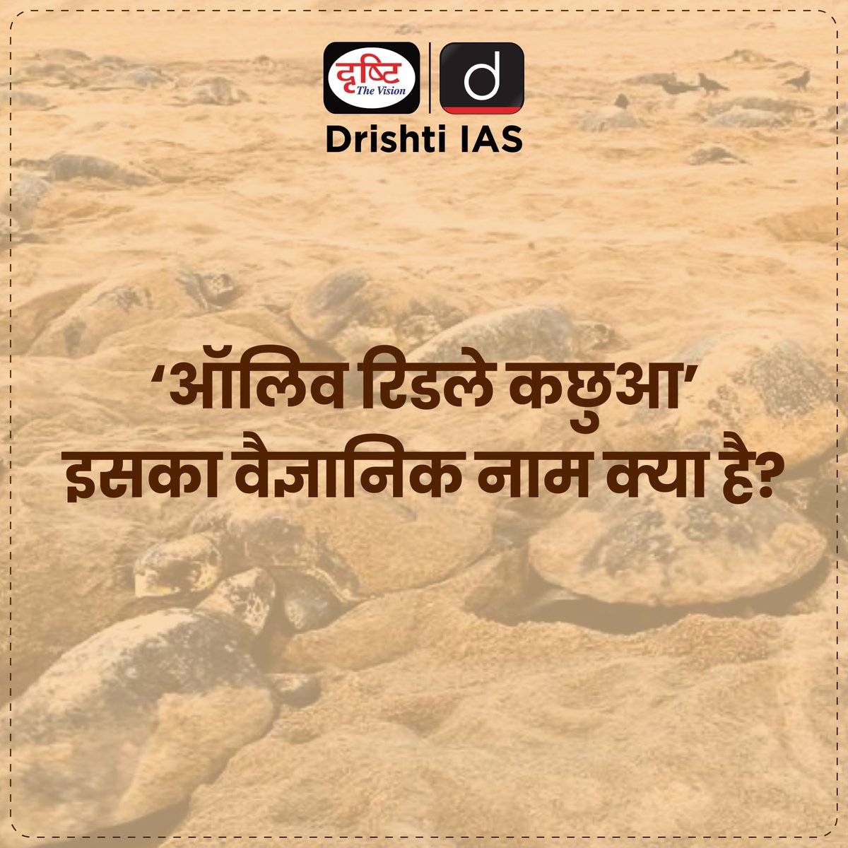 drishtiias's tweet image. ऑलिव रिडले कछुए रिकॉर्ड संख्या में रुशिकुल्या समुद्र तट पर तैरकर आए
.
#OliveRidleyTurtles #RushikulyaBeach #MassNesting #OdishaWildlife #TurtleConservation #MarineLife #WildlifeProtection #SaveTheTurtles #Ecotourism #CurrentNews #DrishtiIAS #DrishtiPCS