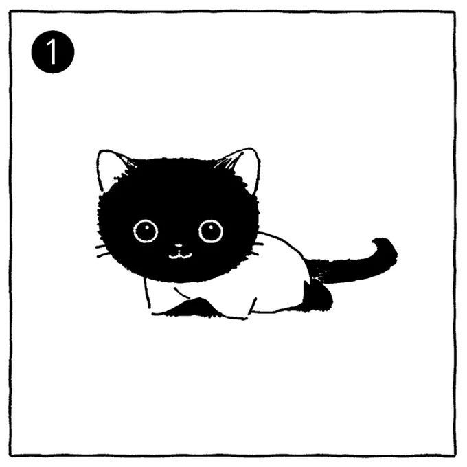 4단 변신고양이 