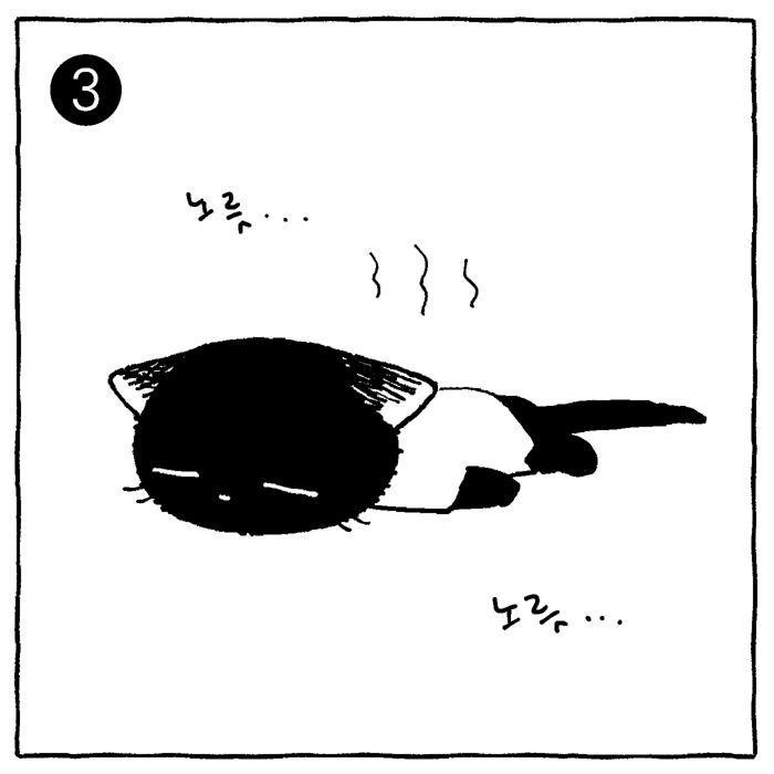 nyanlami's tweet photo. 4단 변신고양이 https://t.co/V555BC4qcQ