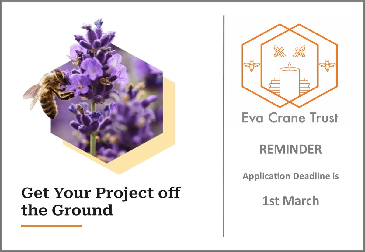 ⏳ Reminder! The March deadline for grant submissions is just days away! 
bit.ly/3A60Kyv
#BeeScience #citizenscience #beebooks #bees