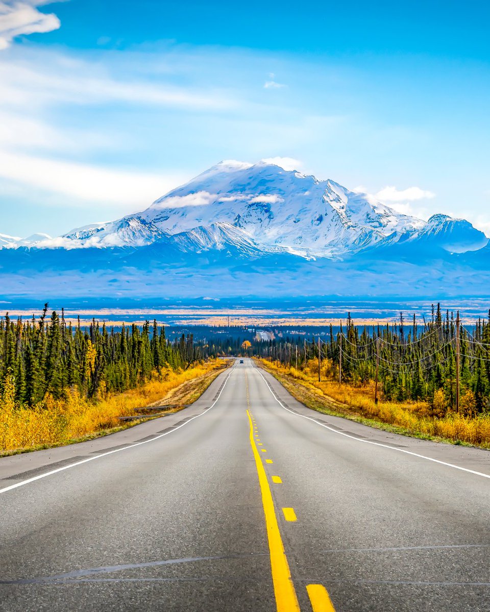 DSM Telecom tweet media