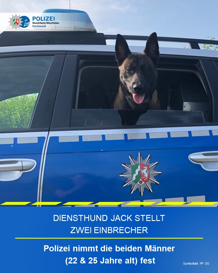🚨 In der Nacht zu Mittwoch (26. Februar) meldete ein Zeuge zwei Einbrecher auf dem Recyclinghof in Dortmund-Huckarde. Diensthund Jack konnte die beiden Einbrecher stellen. Wir nahmen die beiden Männer fest.

Weitere Infos hier 👇️
dortmund.polizei.nrw/presse/diensth… 

#polizeido #dortmund