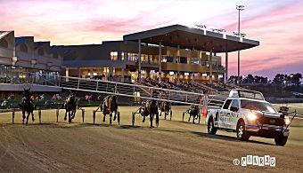 Eldorado Scioto Downs to host 2026 Breeders Crown

Representatives from Caesars Entertainment and Eldorado Scioto Downs announced at the Dan Patch Awards banquet on Sunday (Feb. 23) that the south Columbus oval will be the host of the 2026 Breeders Crown.
bit.ly/41jTWaa