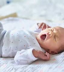 Boringdynasty's tweet photo. Interesting mechanism of spreading yawns: Neurons fire 200 times a sec, signals zooming at 268 mph. Your brain mimics what it sees—like a yawn—triggering you to copy it. Wild brain science! https://t.co/uDD6GBBDri