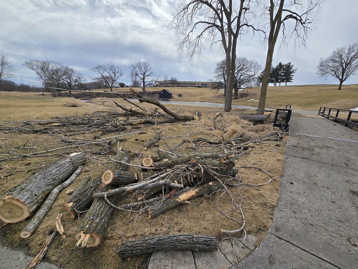 SuperTimG132's tweet photo. Ask me what a great day on the course in February is and I'd say cutting down trees and tearing out flower beds... Today is a great day!!! Another knee knocker with a partially dead Cottonwood hanging over our main bridge!! #nobridgeswereharmed #superike  @levifloming https://t.co/swPDkyOJqY